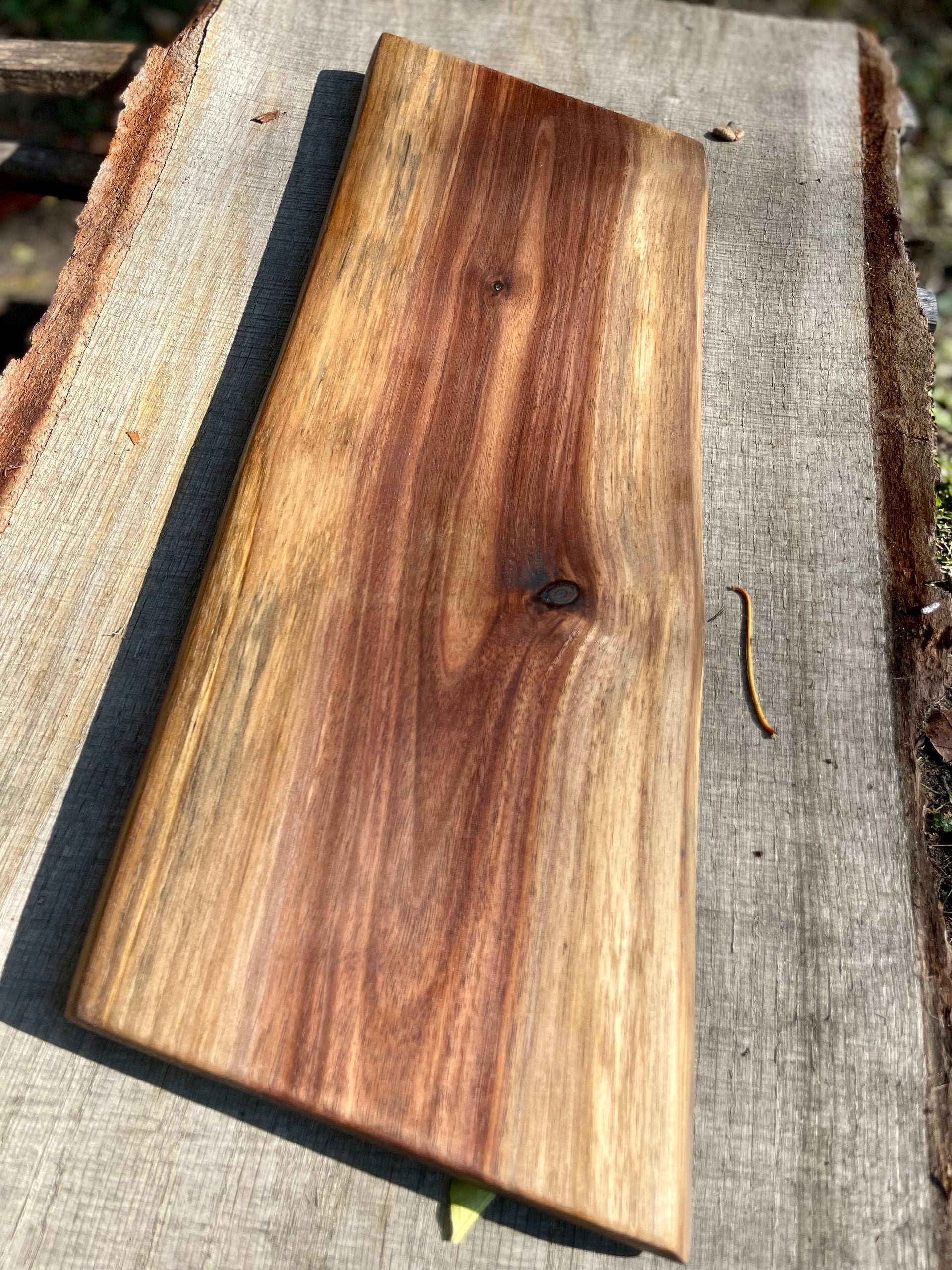 Black walnut natural factory edge serving board